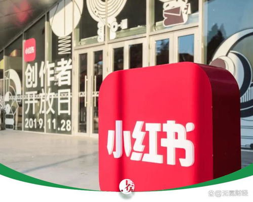 小红书裁员20% 内部矛盾与战略焦虑的真实写照